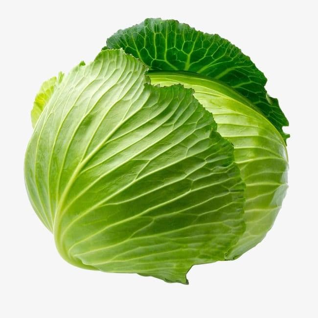 Cabbage